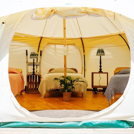 Luxury Glamping Retreat In Battle Villa Exterior photo