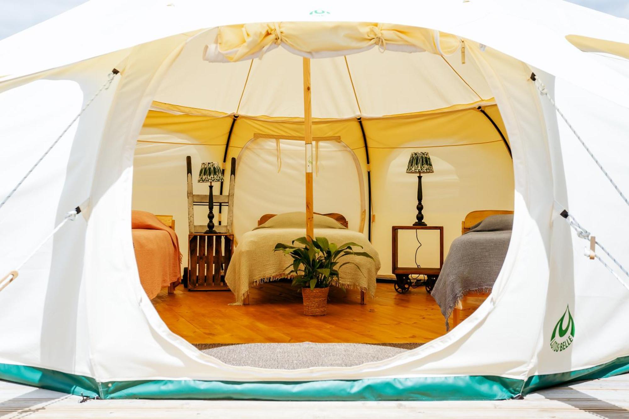 Luxury Glamping Retreat In Battle Villa Exterior photo