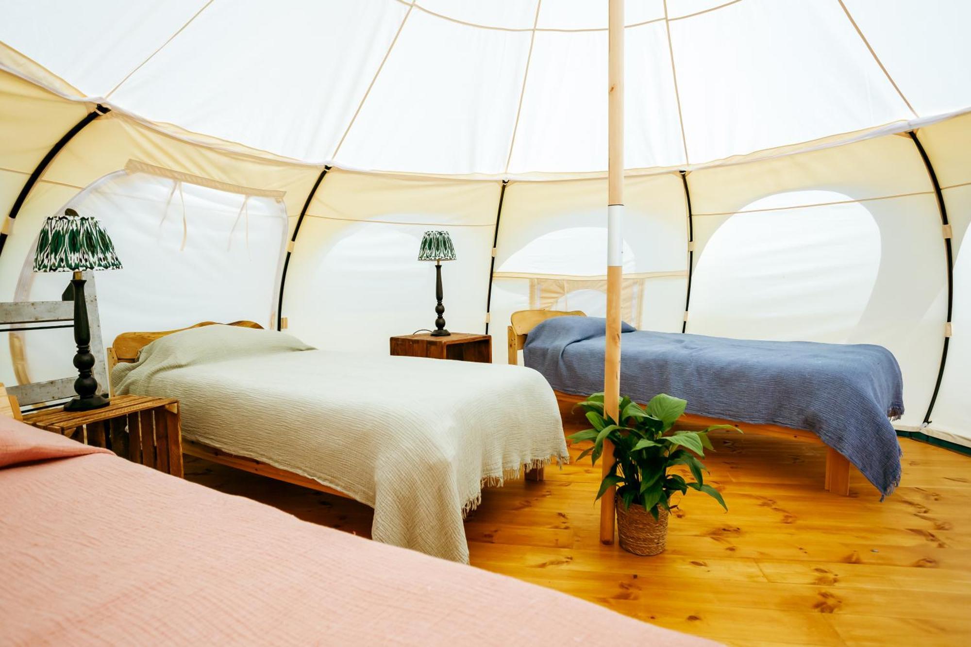 Luxury Glamping Retreat In Battle Villa Exterior photo